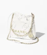 2025 Spring and Summer Preview Series CHANEL 22 Mini Handbag