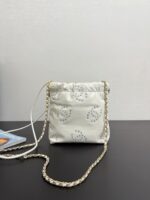 2025 Spring and Summer Preview Series CHANEL 22 Mini Handbag